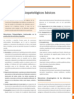 2mecanismos Fisiopatologicos Basicos PDF