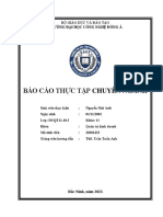 Báo cáo thực tập PDF