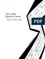 Ma1004libroresumen PDF