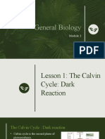 The Calvin Cycle Dark Reaction G1