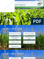 RE MOOC W7 Biomass PDF