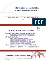 Curs1 Bda PDF