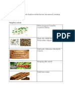 Simplisia nabati, hewani, dan mineral