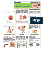 Herpesviridae PDF