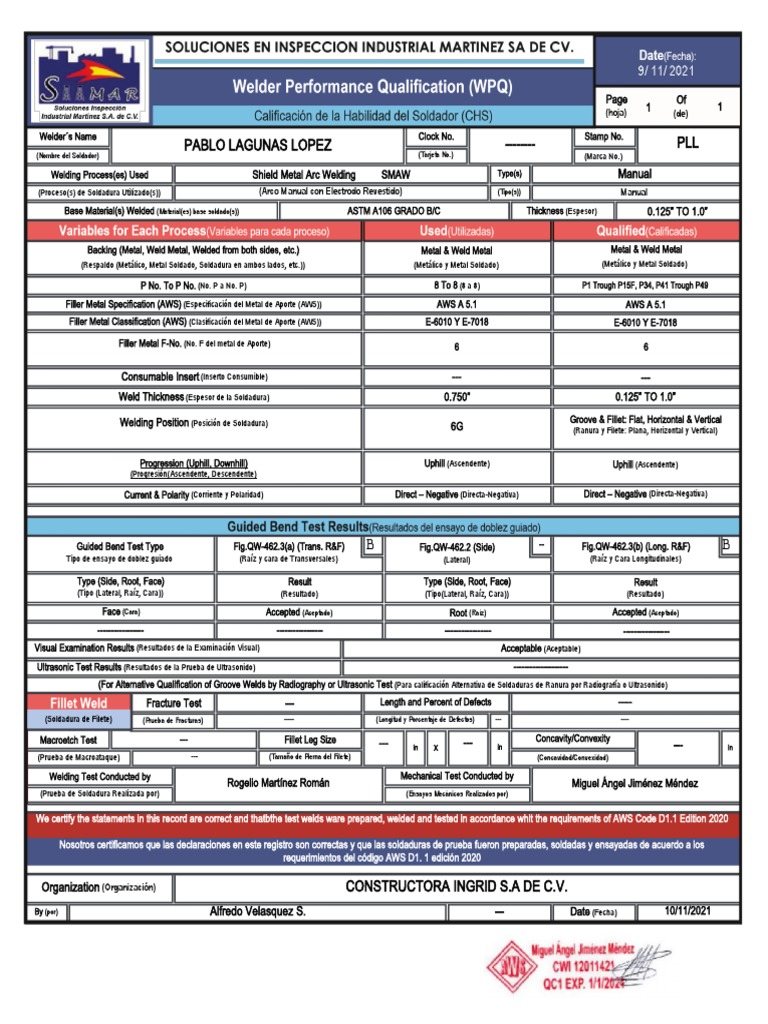 WPQ Editable | PDF