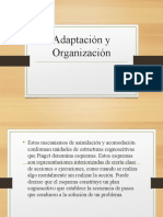 1 Adaptación y Organización