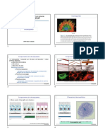 AULA 5 - Citoesqueleto PDF