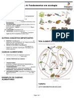 Folhinha Aula 4 Fundamentos em Ecologia PDF