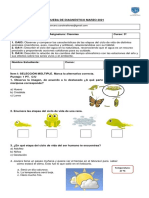 3o DIAGNOSTICO CIENCIAS 2021 PDF