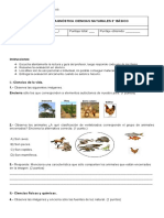 Evaluación Diagnostica 1 Cs Naturales