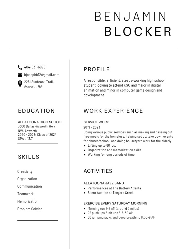 black and white simple visual artist resume | PDF