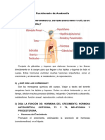 Cuestionario de Anatomía - Dairubis