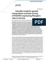 An inducible model for genetic manipulation and fate‑tracing Of Pdgfr β‑expressing fibrogenic cells in the liver