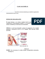 Anatomía nivel organización célula tejido órgano sistema