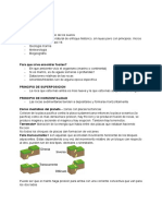 Formacion de La Tierra Iara