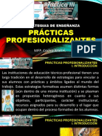 4-Practicas Profesionalizantes