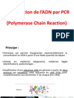 Amplification de l'ADN Par PCR PDF