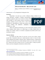 Megaesofago em Felino A Relato de Caso PDF