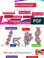 Fourth Quarter Digestive System