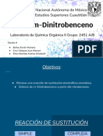 Previo 2 M-Dinitrobenceno PDF