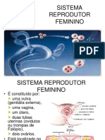 Sistema Reprodutor Feminino