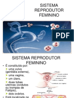 Sistema reprodutor feminino detalhado