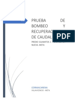 7.1 Prueba de Bombeo y Recuperacion - Guamitos