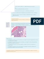 Parciales PDF