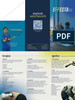 Flyers - Effecta PDF