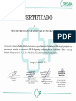NR10 Andrés PDF
