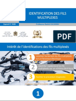 Identification Des Fils Multiplexes