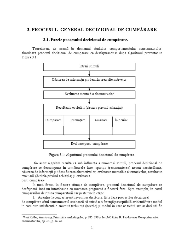 3.procesul General Decizional | PDF