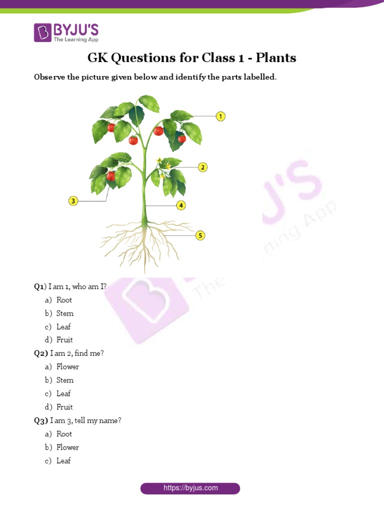 Gk Worksheet For Class 1 Plants Pdf Pdf