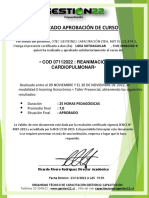 Certificado curso RCP aprobado