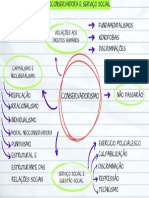 Mapa Mental - Ofensiva Neoliberal e SS - Texto 1 - Victor Cabral