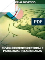 Envelhecimento Cerebral e Patologias Relacionadas PDF