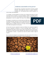 Resiliencia PDF