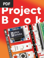 Pico Bricks Ebook Final PDF