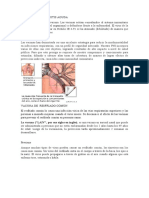 Vacuna de Bronquitis Aguda