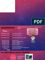 Biomimesis