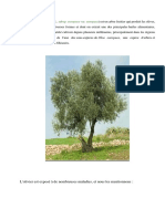 Donga Xpo 2 PDF