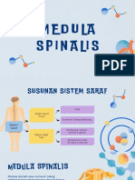 Medula Spinalis Kelompok 5 PDF