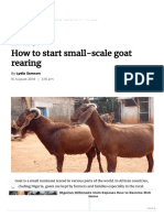 How To Start Small-Scale Goat Rearing: Businessagro