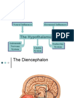 The Hypothalamus: Neural and Hormonal Influences