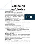 Evaluación Grafolexica-Descripcion