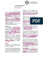 Cauda Equina PDF