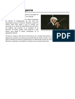 Director de Orquesta PDF