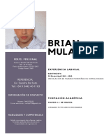 CV Brian PDF
