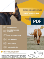 Sanidad Equina-E.podales