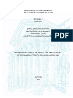 Relatório 2 - PDF